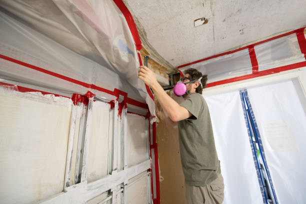 Environmental Consulting for Mold Prevention in Clearwater, SC