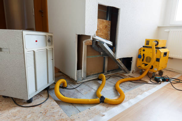 Best Comprehensive Air Testing for Mold Contaminants  in Clearwater, SC